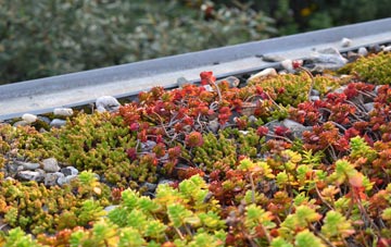 the cost of Droylsden green roof installation