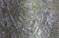 Droylsden fibreglass roof work